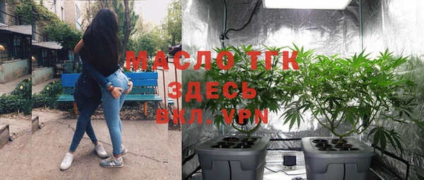 индика Новокубанск