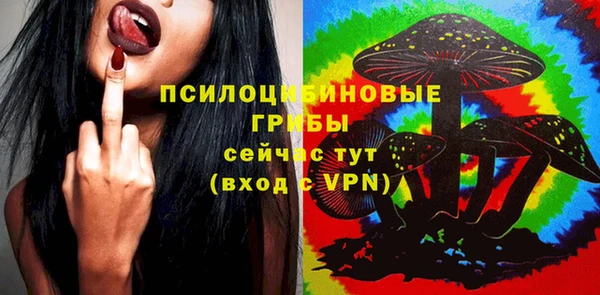 индика Новокубанск