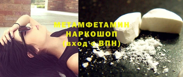 индика Новокубанск