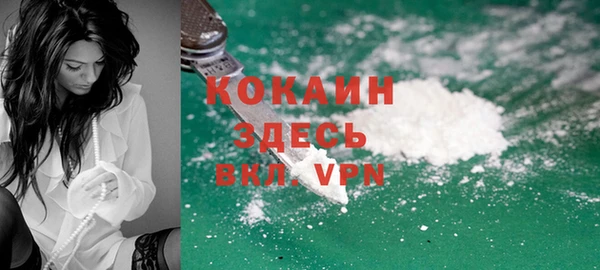 индика Новокубанск