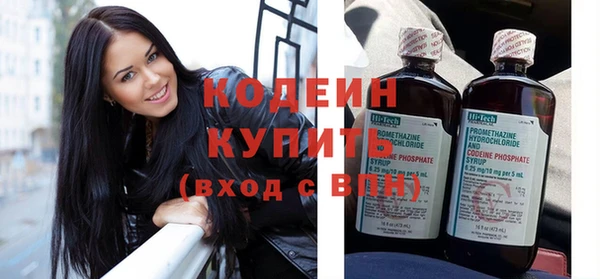 индика Новокубанск