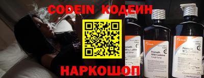амф Камышлов